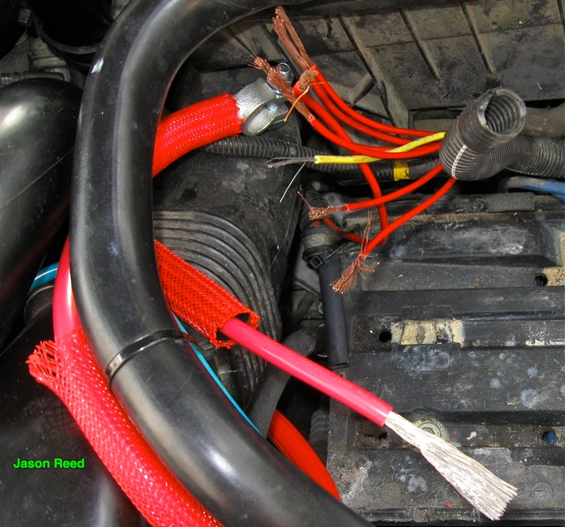 Terminals clipped and wires stripped